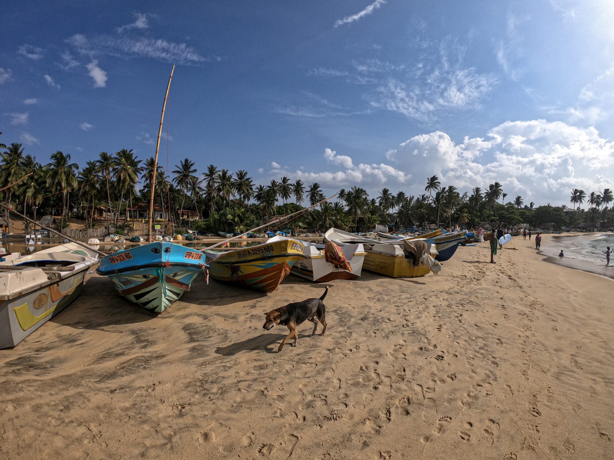 🇱🇰 Arugam Bay
