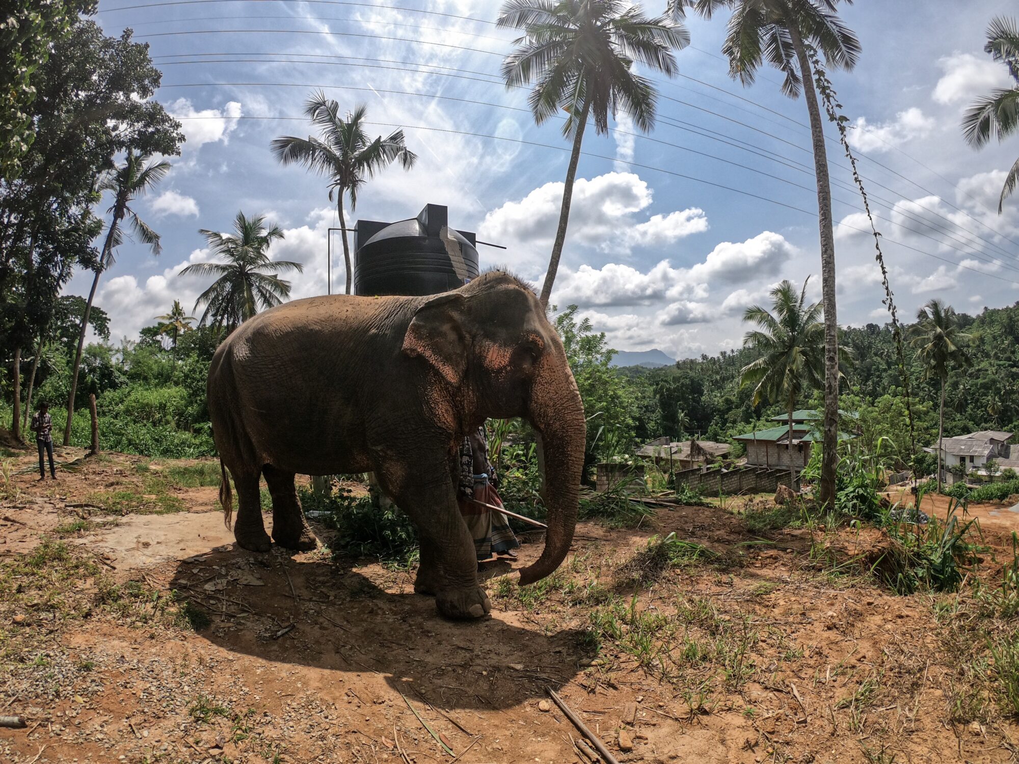 🇱🇰 Hatton & Pinnawala